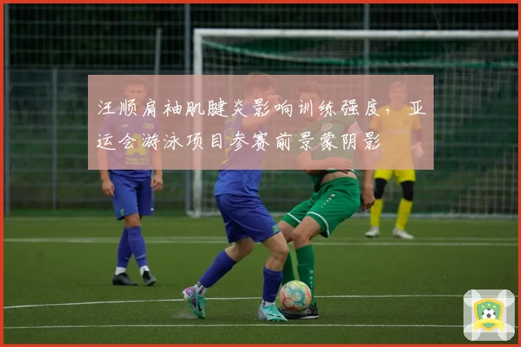 汪顺肩袖肌腱炎影响训练强度，亚运会游泳项目参赛前景蒙阴影