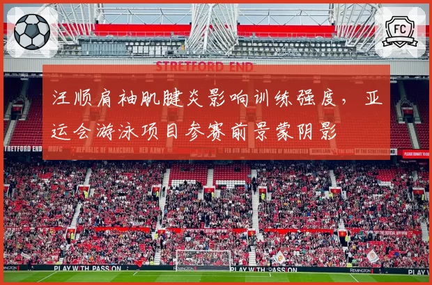 汪顺肩袖肌腱炎影响训练强度，亚运会游泳项目参赛前景蒙阴影