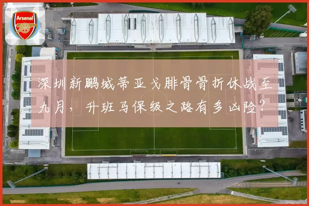 深圳新鹏城蒂亚戈腓骨骨折休战至九月,升班马保级之路有多凶险?