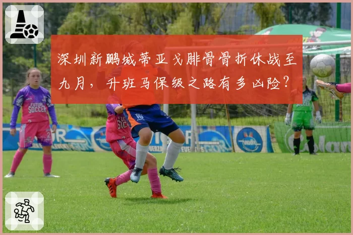 深圳新鹏城蒂亚戈腓骨骨折休战至九月,升班马保级之路有多凶险?