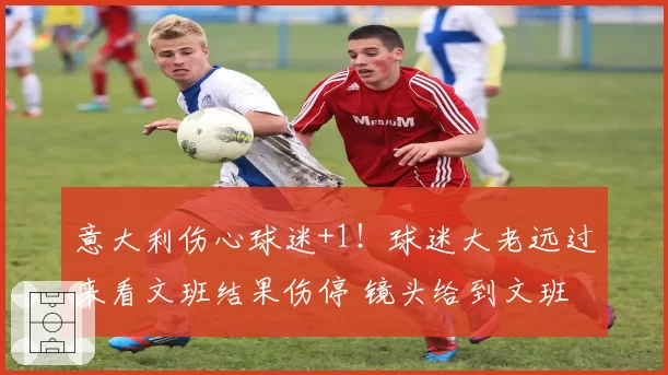 意大利伤心球迷+1!球迷大老远过来看文班结果伤停 镜头给到文班